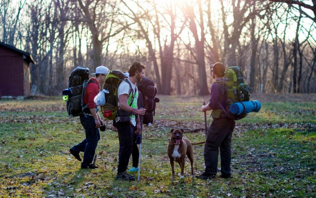 Lakeside Camping & Activity service6 4.jpg